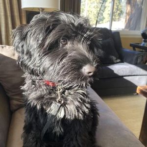 Meet your Posher, Edie